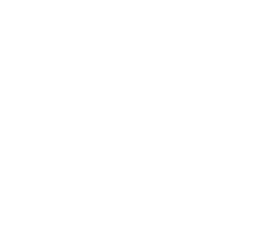 SURSKI Sierra Nevada